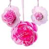 Picture of PRETTY ENGLISH ROSE DECORATION